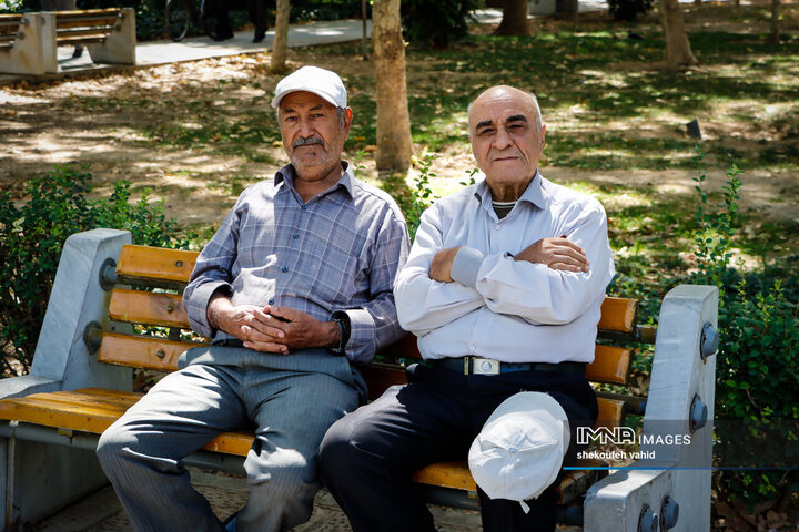 Every Wrinkle Tells a Story of Rich Old Age