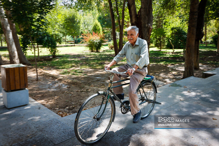 Every Wrinkle Tells a Story of Rich Old Age