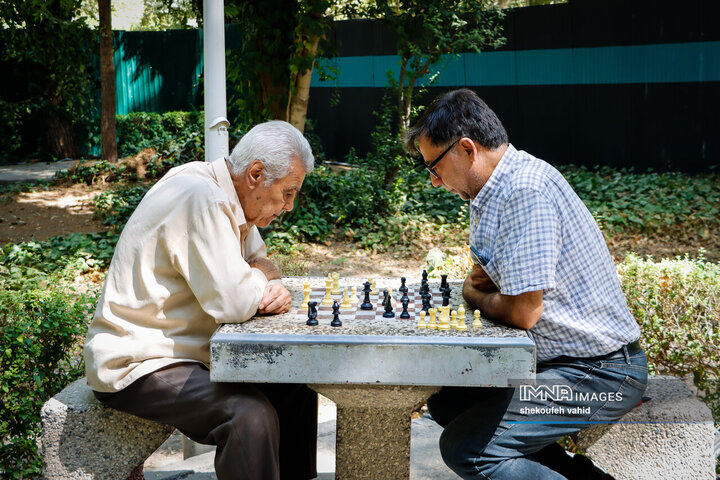 Every Wrinkle Tells a Story of Rich Old Age