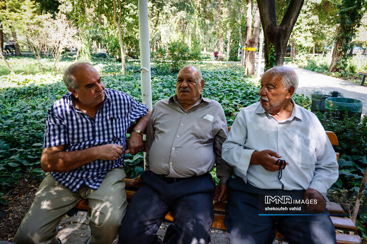 Every Wrinkle Tells a Story of Rich Old Age