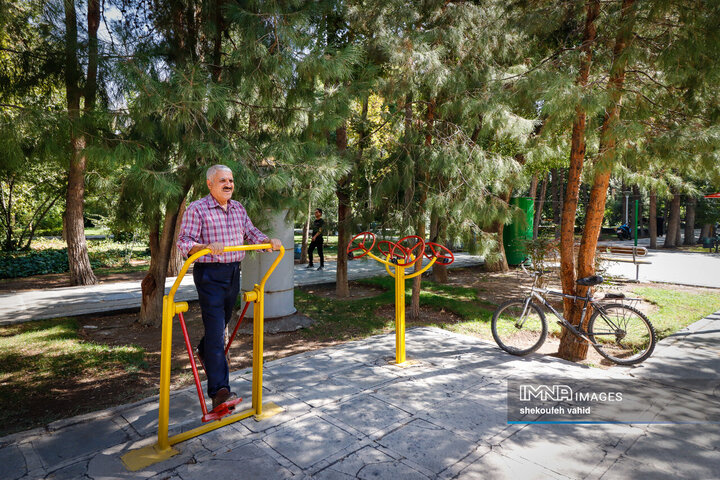 Every Wrinkle Tells a Story of Rich Old Age