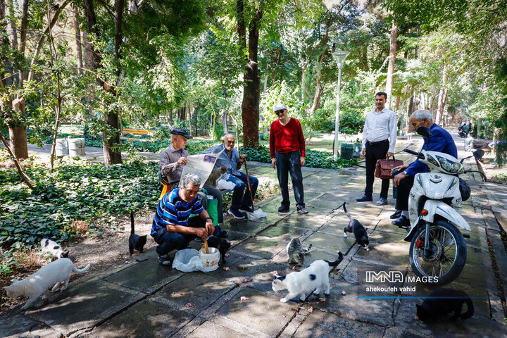 Every Wrinkle Tells a Story of Rich Old Age