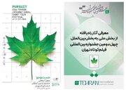 معرفی آثار راه یافته از بخش ملی به بخش بین‌الملل جشنواره فیلم کوتاه تهران
‌