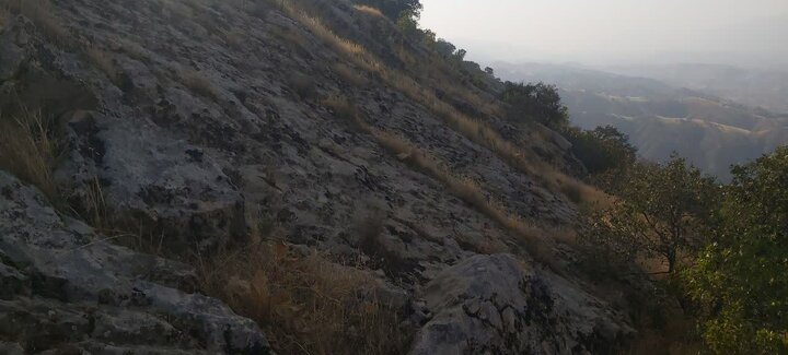 مهار ۹۸ درصدی آتش‌سوزی در ارتفاعات دماوند / ۸ هکتار مرتع طعمه حریق شد