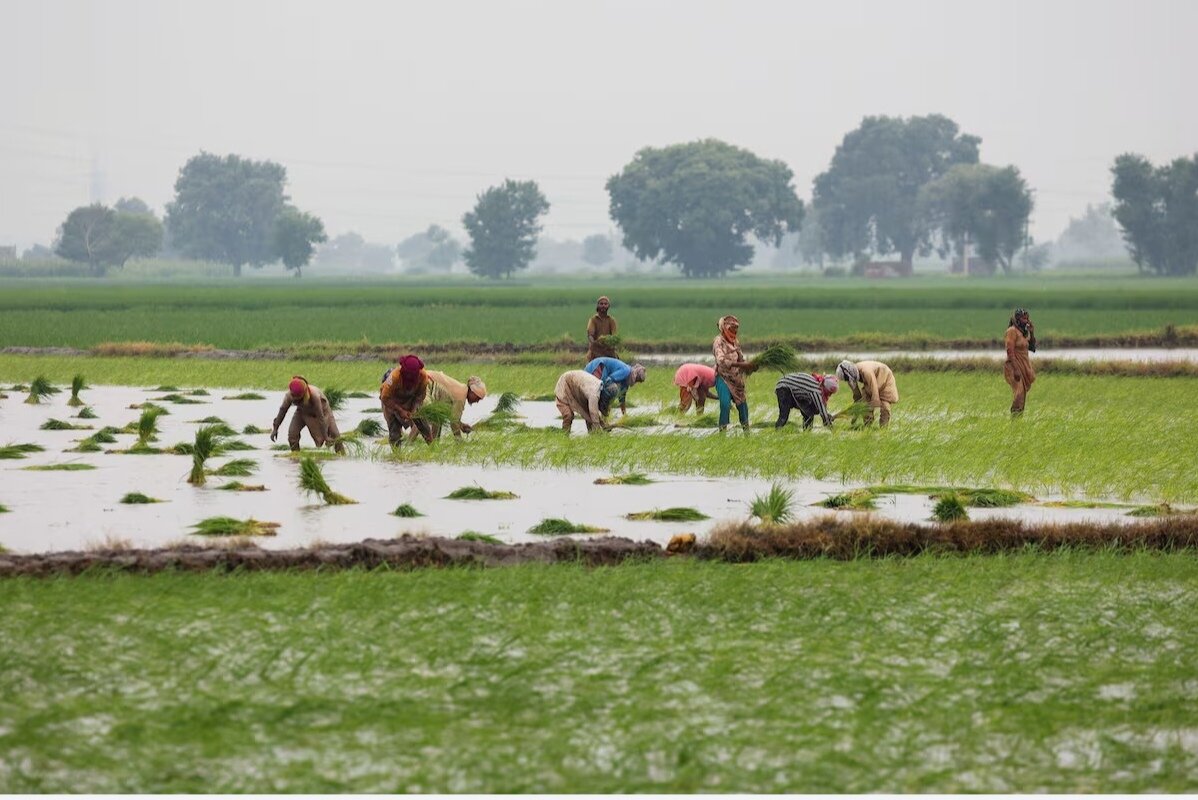تهدید منابع آب پاکستان با رواج بی‌رویه کشاورزی خورشیدی + راهکارهای دولت