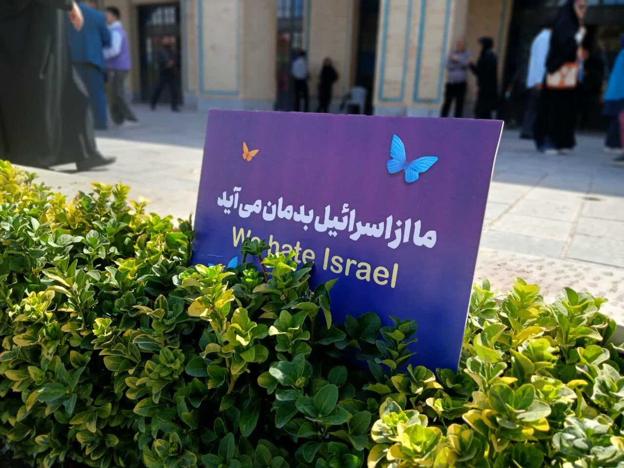 جشنوارهای در کنار کودکان مظلوم