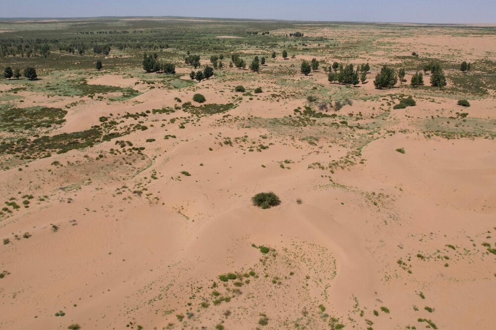 سبز شدن بیابانها در چین و تحول زندگی بومیان