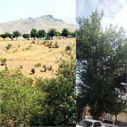 ثبت ۲ اثر طبیعی کردستان در فهرست میراث‌ طبیعی ملی کشور