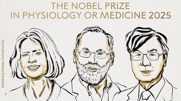 نوبل پزشکی ۲۰۲۵ به دانشمندان ژاپنی و آمریکایی برای کشف راز ترمز ایمنی بدن رسید