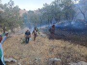 مهار آتش‌سوزی در حاشیه رودخانه تالوار خدابنده زنجان