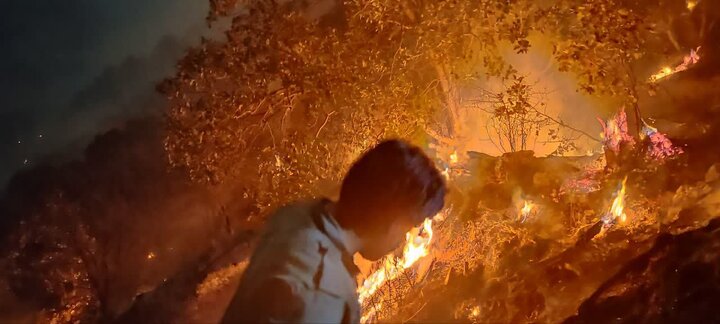 آتش‌سوزی جنگل‌های تنگه رازیانه مهار شد