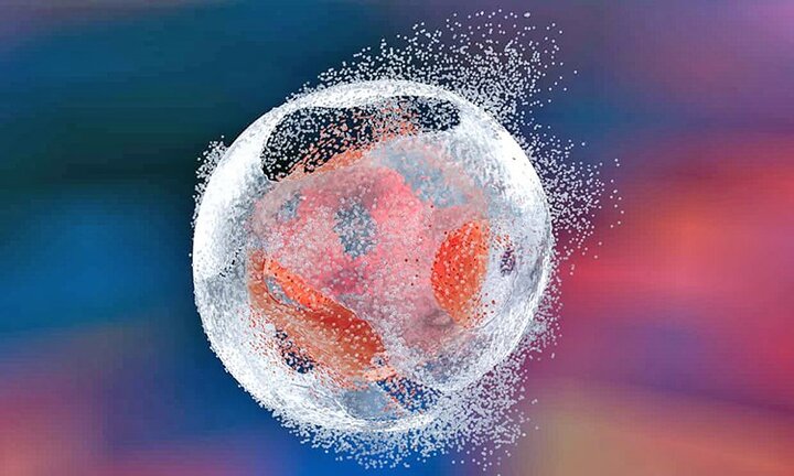 کیتی که مرگ سلول‌ها را لحظه‌ای آشکار می‌کند