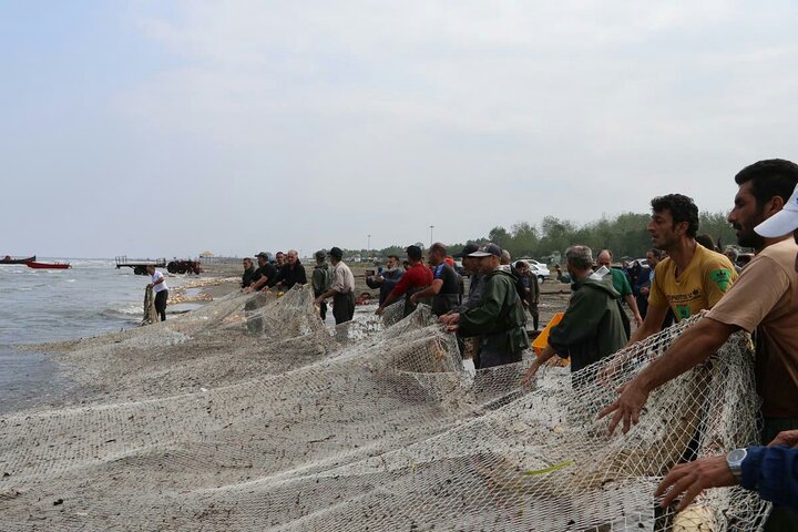 آغاز صید ماهیان استخوانی در گیلان/ بهره‌برداری همه‌جانبه از ظرفیت‌های خزر ضرورت دارد