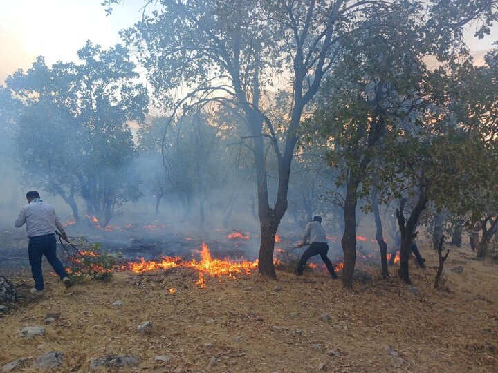 شعله‌ور شدن مجدد آتش‌سوزی ارتفاعات تنگه رازیانه/ تلاش‌ها برای مهار آتش‌ ادامه دارد