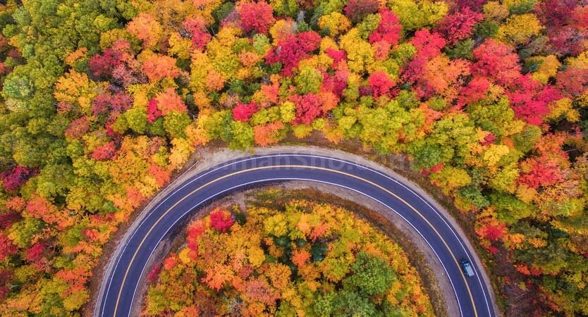 اولسبلنگاه ماسال کجاست؟ | جاذبه ها+راه های دسترسی-فلایتودی