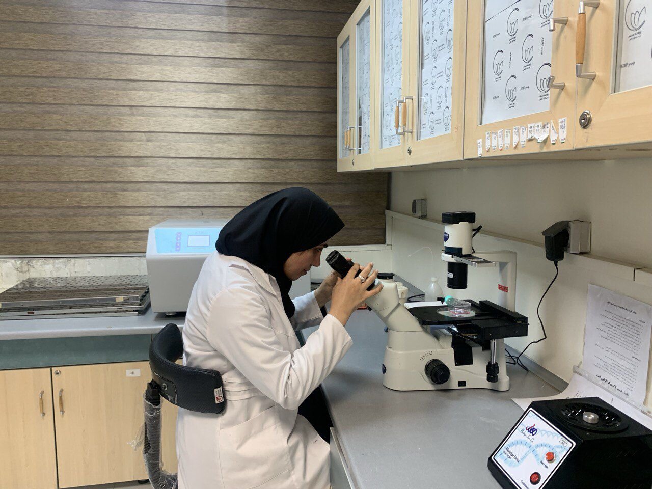 کیتی که مرگ سلولها را لحظهای آشکار میکند