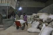 برخورد با تخلفات در بازار برنج گلستان