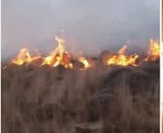 آتش در مرتع «ملارکوه» آمل مهار شد