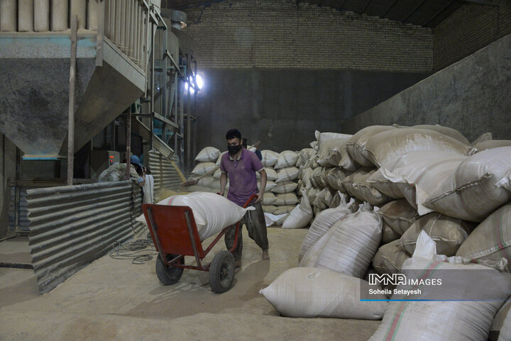 برخورد با تخلفات در بازار برنج گلستان