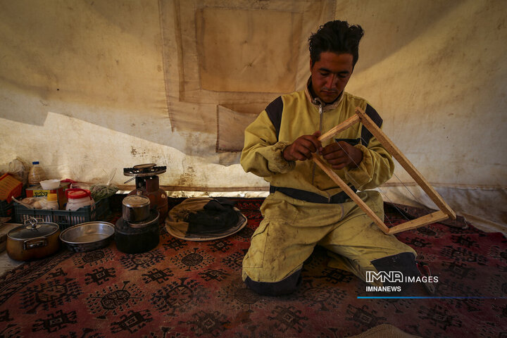 از دشت تا شهد؛ قصه عسل در سرزمین سبز بجنورد