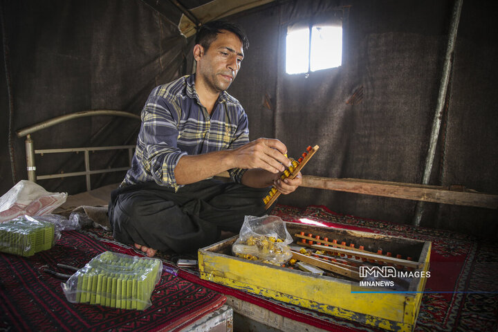 از دشت تا شهد؛ قصه عسل در سرزمین سبز بجنورد