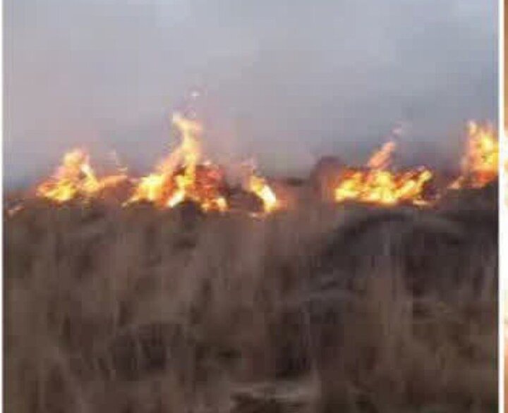 آتش در مرتع «ملارکوه» آمل مهار شد