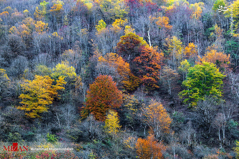 پاییز در راه است؛ بهترین مقاصد گردشگری پاییزی در ایران
