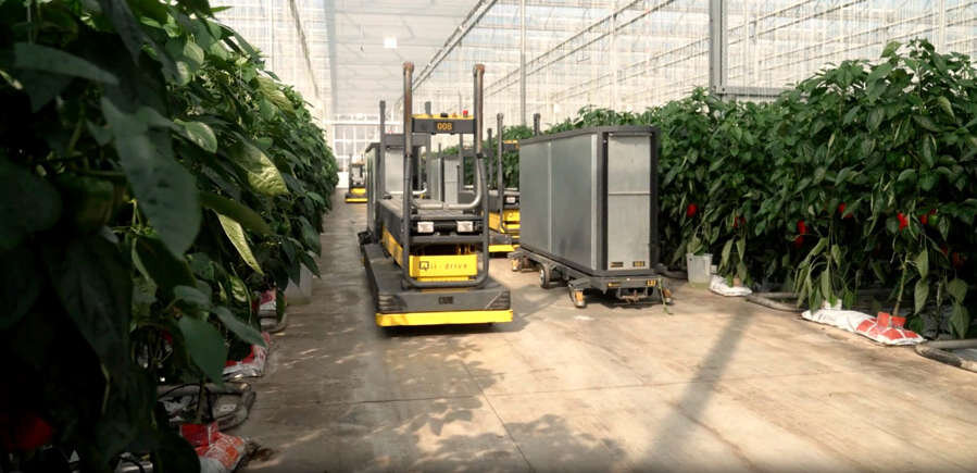 چگونه کشوری کوچک به غول کشاورزی جهان تبدیل شد؟