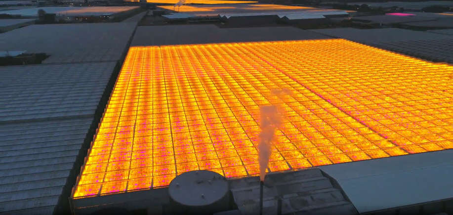 چگونه کشوری کوچک به غول کشاورزی جهان تبدیل شد؟