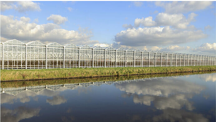 چگونه کشوری کوچک به غول کشاورزی جهان تبدیل شد؟