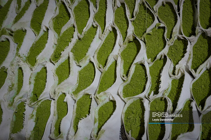 حنا بر دستان کویر؛ احیای آیین کهن «حنا سابی» در یزد