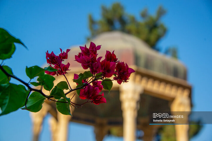 حافظِ هویت ملی