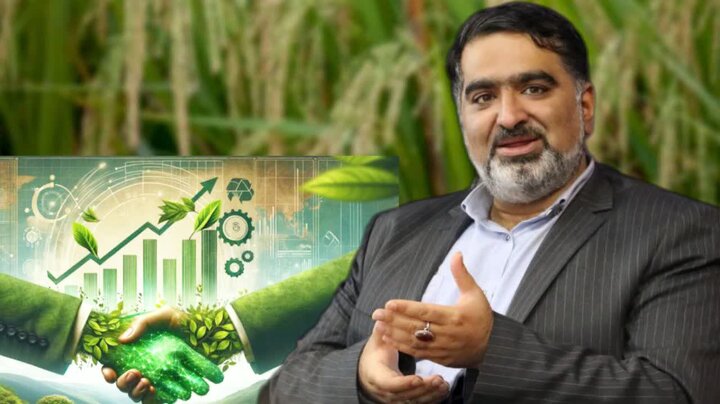 پیش‌بینی ۶۰ میلیون دلار درآمد ارزی از صادرات کیوی