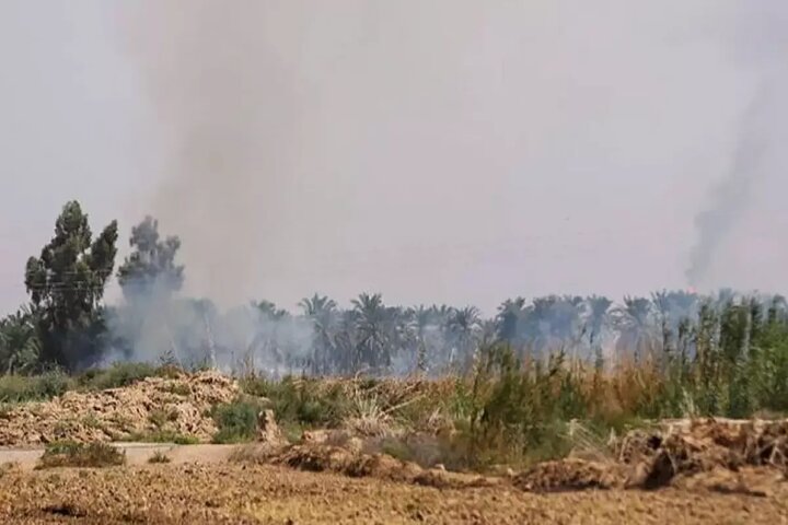 از نم تا دود، مرگ تدریجی یکی از مهم‌ترین تالاب‌های ایران