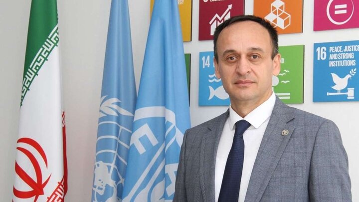 آمادگی فائو برای همکاریهای فنی و تخصصی در اجرای پروژههای کشاورزی ایران