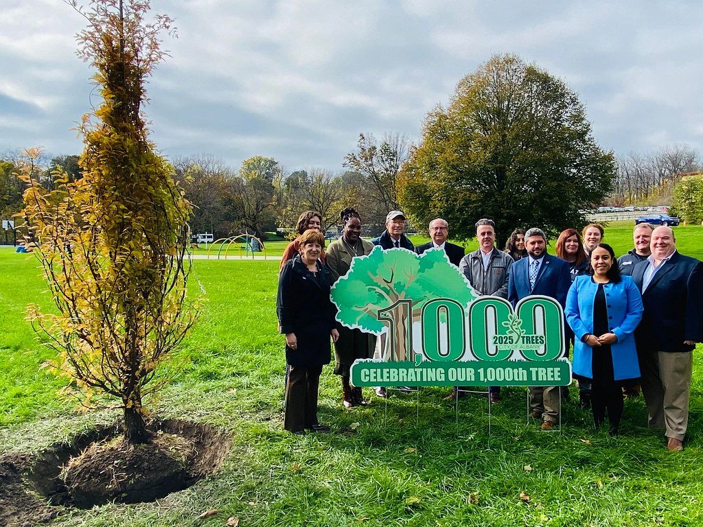 شهرهای جهان چگونه آماده آینده سبز میشوند؟