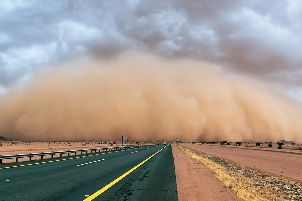 حکمرانی دیجیتال؛ زبان مشترک مدیران و شهروندان