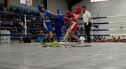 برگزاری المپیاد نونهالان بوکس کشور در استان مرکزی