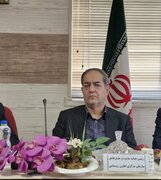 بهبود وضعیت تأمین نهاده‌ها در هفته‌های آینده