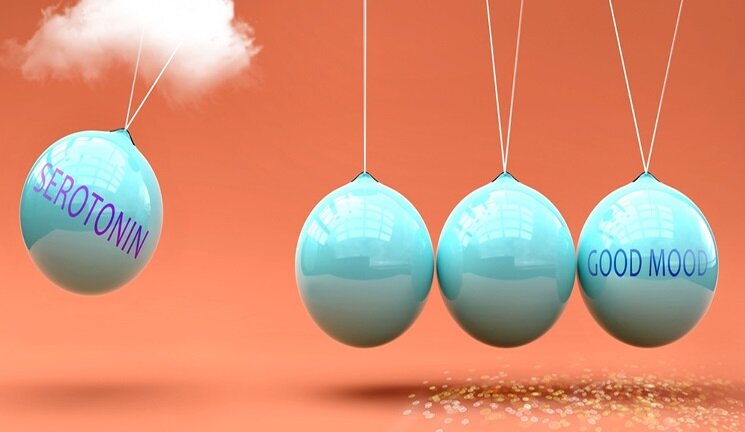 سروتونین چیست و چه نقشی در بدن دارد؟ + روشهای افزایش سروتونین در بدن