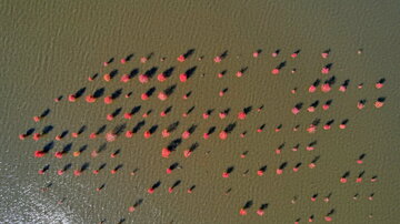 Iran's Nature Symphony