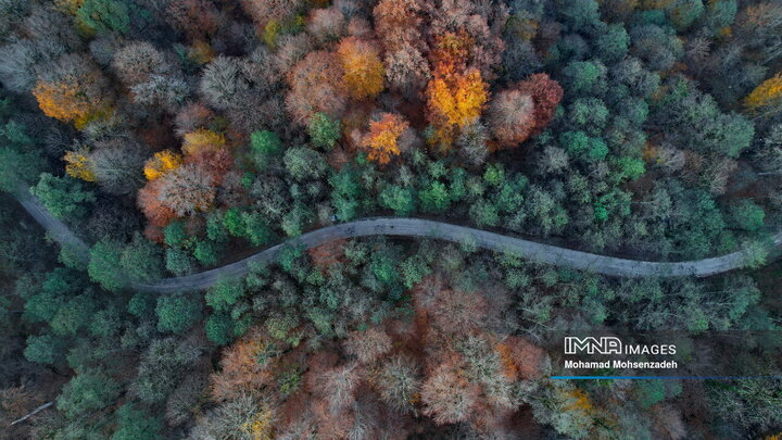 جنگل های مرسی سی مازندران