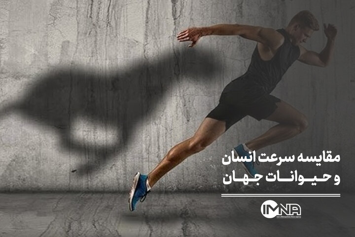 مقایسه سرعت انسان و حیوانات جهان