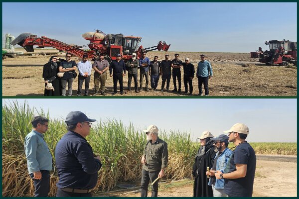 عکاسان کشوری از ظرفیت‌های صنعت نیشکر بازدید کردند