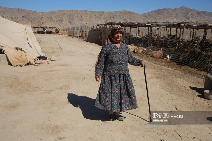 واکسیناسیون دام عشایر در خراسان شمالی