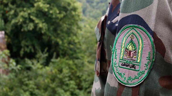 سوءقصد به جان ماموران منابع طبیعی شهرستان نور