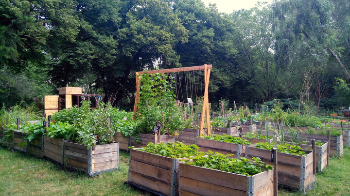 آلودگی خاک امنیت غذایی لرستان را تحت‌تأثیر قرار می‌دهد