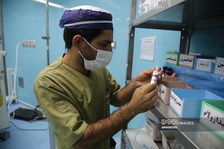 سپیدپوشان مهربانی در آیینه ایثار حضرت زینب (س)
