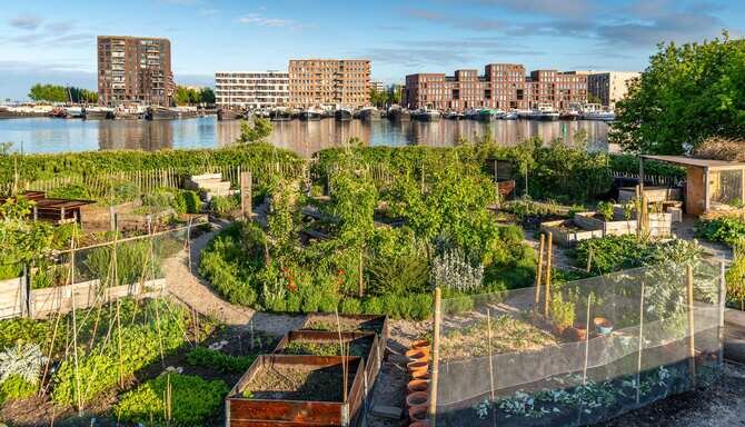 شهرداری‌ها در خط مقدم امنیت غذایی؛ تجربه موفق جهان از آمستردام تا بوگوتا