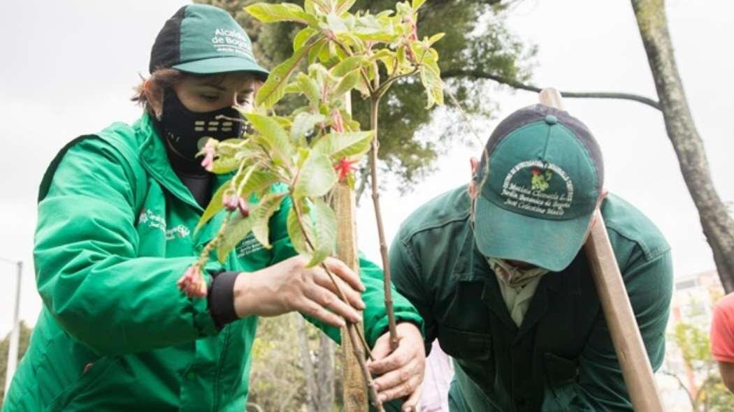 شهرداری‌ها در خط مقدم امنیت غذایی؛ تجربه موفق جهان از آمستردام تا بوگوتا